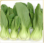 Bok Choy Bok Choy