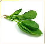 Spinach Spinach