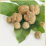 Walnuts Walnuts